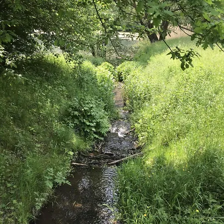 Untere-seeterrasse * Rieden (Mayen-Koblenz)