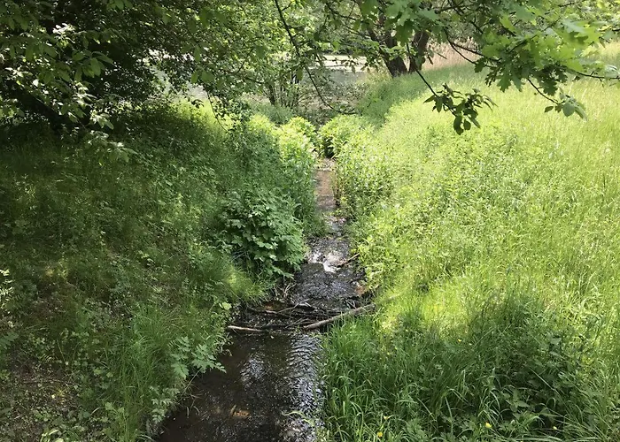 Untere-seeterrasse * Rieden (Mayen-Koblenz)